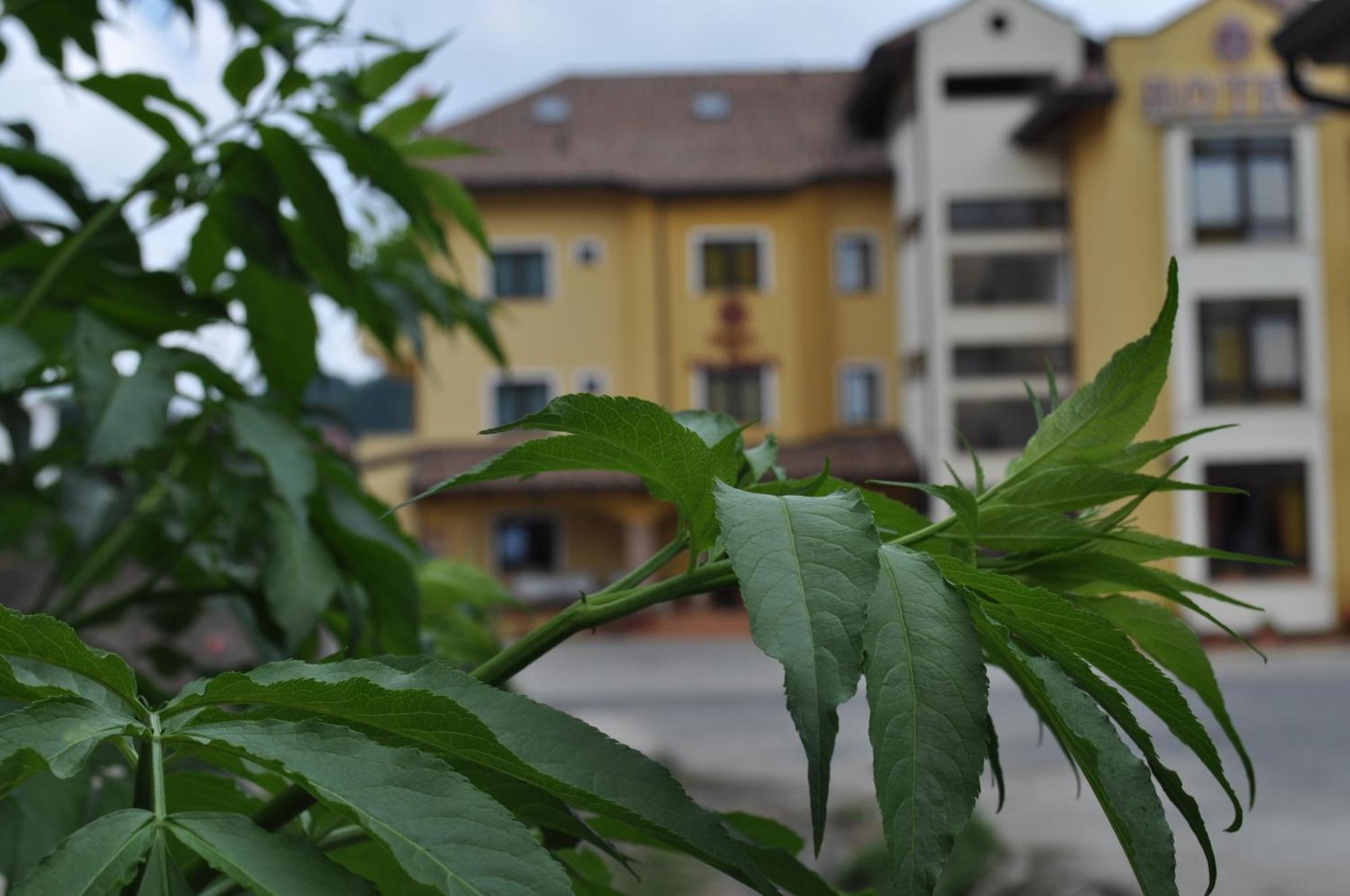 Hotel Duca Di Calabria Serra San Bruno Eksteriør billede